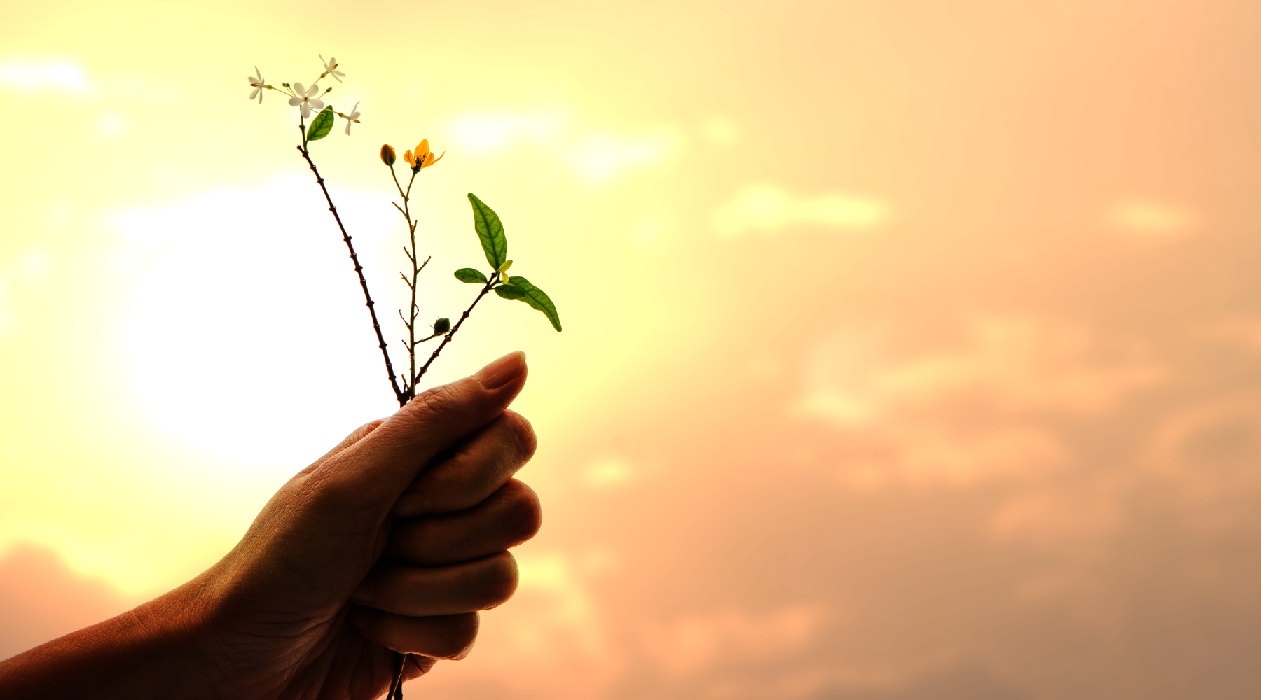 7 Quotes About Gratitude That Will Change Your Life