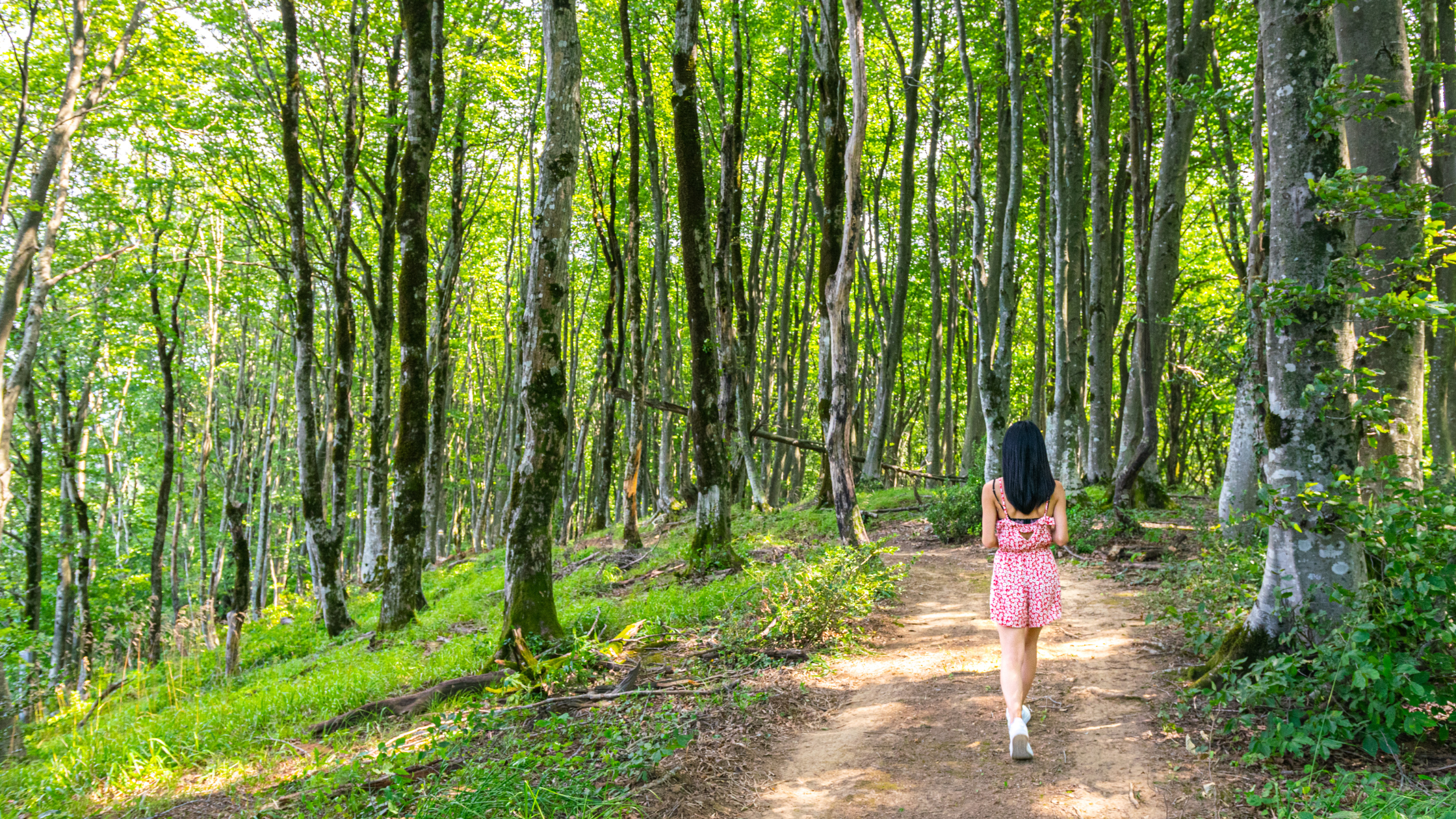 Embracing Positivity - A Gateway to Abundance